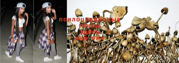 mdpv Абдулино