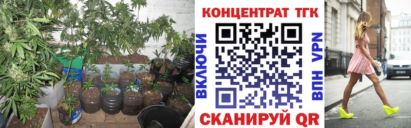 как найти закладки  Сысерть  ТГК вейп с тгк 