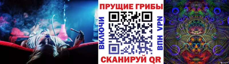 купить наркотик  Сысерть  Псилоцибиновые грибы MAGIC MUSHROOMS 